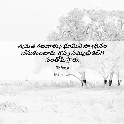 Picture 06 - కీర్తన 37:11 TELIRV - నమ్రత గలవాళ్ళు - Bible Verse Picture