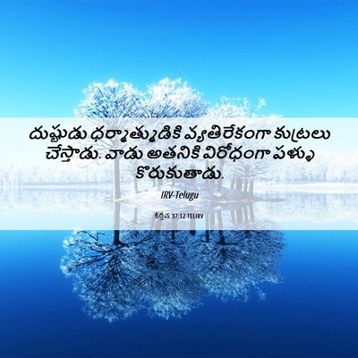 Picture 06 - కీర్తన 37:12 TELIRV - దుష్టుడు - Bible Verse Picture