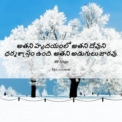 Picture 06 - కీర్తన 37:31 TELIRV - అతని హృదయంలో అతని - Bible Verse Picture