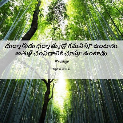 Picture 06 - కీర్తన 37:32 TELIRV - దుర్మార్గుడు - Bible Verse Picture