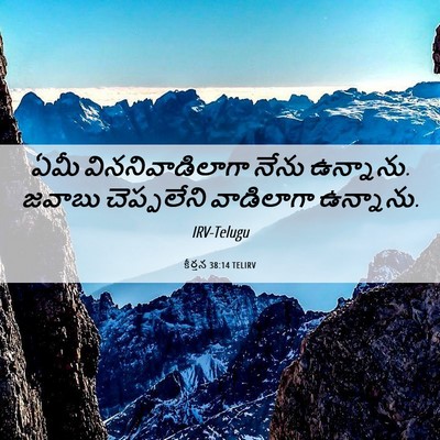 Picture 06 - కీర్తన 38:14 TELIRV - ఏమీ విననివాడిలాగా - Bible Verse Picture