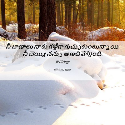 Picture 06 - కీర్తన 38:2 TELIRV - నీ బాణాలు నాకు - Bible Verse Picture