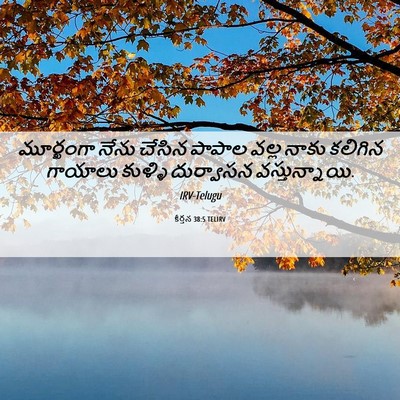 Picture 06 - కీర్తన 38:5 TELIRV - మూర్ఖంగా నేను - Bible Verse Picture