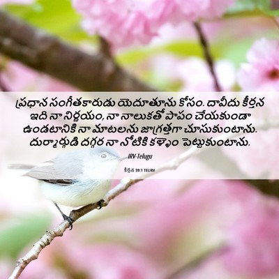 Picture 06 - కీర్తన 39:1 TELIRV - ప్రధాన - Bible Verse Picture