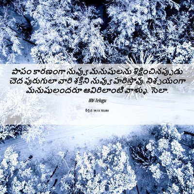 Picture 06 - కీర్తన 39:11 TELIRV - పాపం కారణంగా - Bible Verse Picture