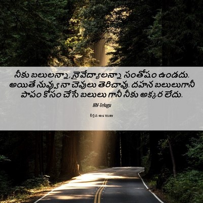 Picture 06 - కీర్తన 40:6 TELIRV - నీకు బలులన్నా, - Bible Verse Picture