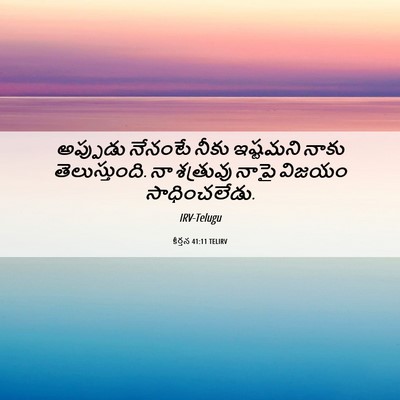 Picture 06 - కీర్తన 41:11 TELIRV - అప్పుడు నేనంటే - Bible Verse Picture