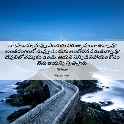 Picture 06 - కీర్తన 42:5 TELIRV - నా ప్రాణమా, నువ్వు - Bible Verse Picture