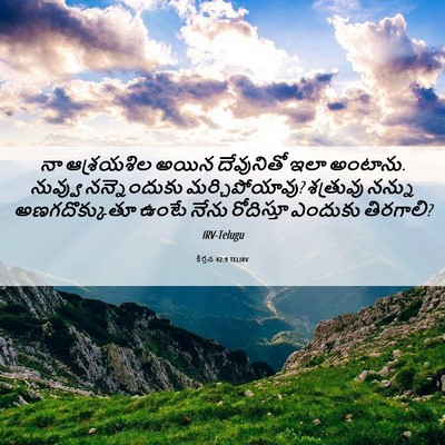 Picture 06 - కీర్తన 42:9 TELIRV - నా ఆశ్రయశిల అయిన - Bible Verse Picture