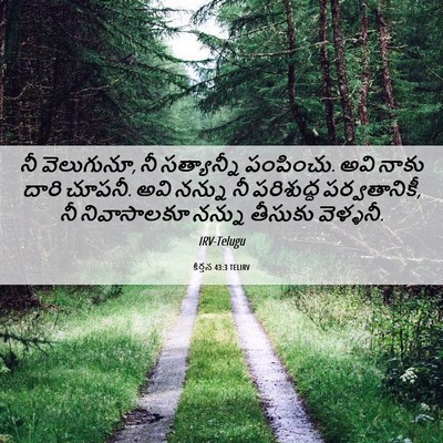 Picture 06 - కీర్తన 43:3 TELIRV - నీ వెలుగునూ, నీ - Bible Verse Picture
