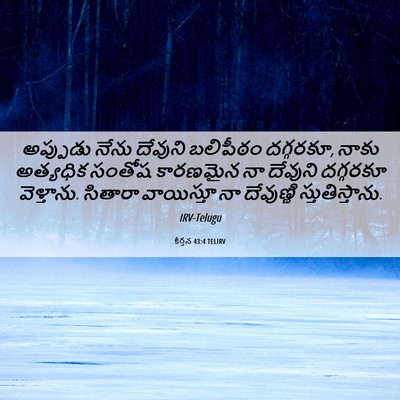 Picture 06 - కీర్తన 43:4 TELIRV - అప్పుడు నేను - Bible Verse Picture