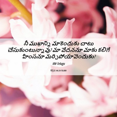 Picture 06 - కీర్తన 44:24 TELIRV - నీ ముఖాన్ని - Bible Verse Picture