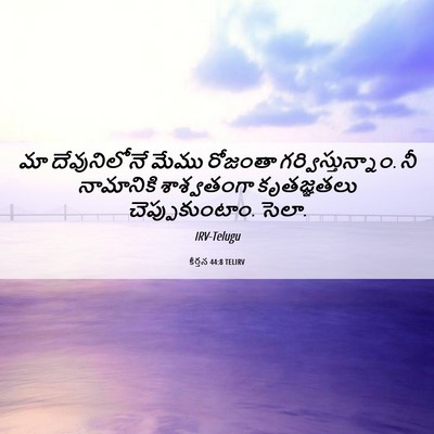 Picture 06 - కీర్తన 44:8 TELIRV - మా దేవునిలోనే - Bible Verse Picture