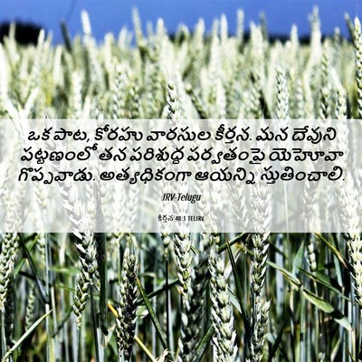 Picture 06 - కీర్తన 48:1 TELIRV - ఒక పాట, కోరహు - Bible Verse Picture