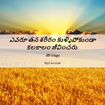 Picture 06 - కీర్తన 49:9 TELIRV - ఎవరూ తన శరీరం - Bible Verse Picture