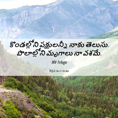 Picture 06 - కీర్తన 50:11 TELIRV - కొండల్లోని - Bible Verse Picture