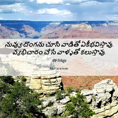 Picture 06 - కీర్తన 50:18 TELIRV - నువ్వు దొంగను - Bible Verse Picture