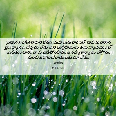 Picture 06 - కీర్తన 53:1 TELIRV - ప్రధాన - Bible Verse Picture