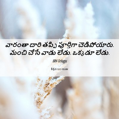 Picture 06 - కీర్తన 53:3 TELIRV - వారంతా దారి తప్పి - Bible Verse Picture