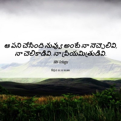 Picture 06 - కీర్తన 55:13 TELIRV - ఆ పని చేసింది - Bible Verse Picture