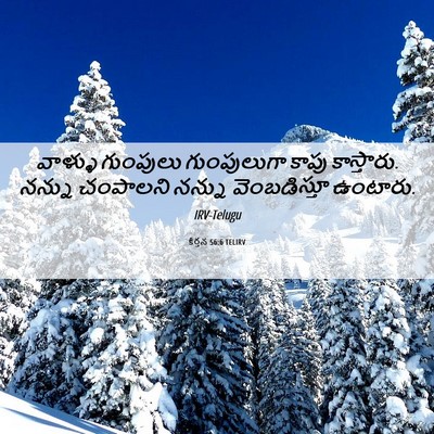 Picture 06 - కీర్తన 56:6 TELIRV - వాళ్ళు గుంపులు - Bible Verse Picture