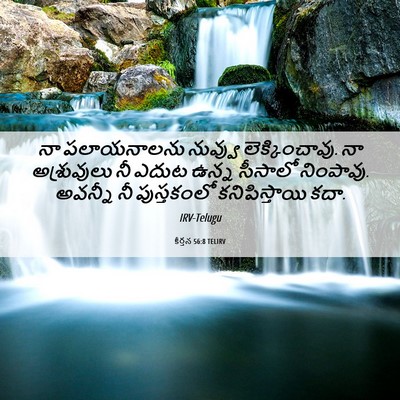 Picture 06 - కీర్తన 56:8 TELIRV - నా పలాయనాలను - Bible Verse Picture