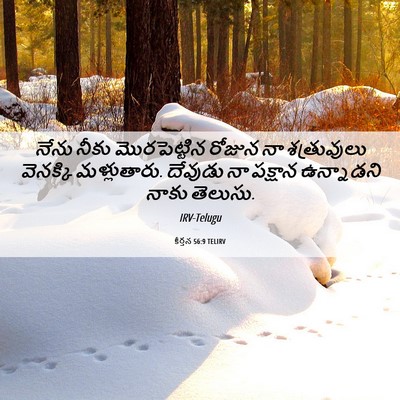 Picture 06 - కీర్తన 56:9 TELIRV - నేను నీకు - Bible Verse Picture