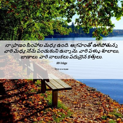 Picture 06 - కీర్తన 57:4 TELIRV - నా ప్రాణం సింహాల - Bible Verse Picture