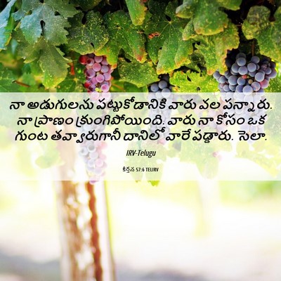 Picture 06 - కీర్తన 57:6 TELIRV - నా అడుగులను - Bible Verse Picture