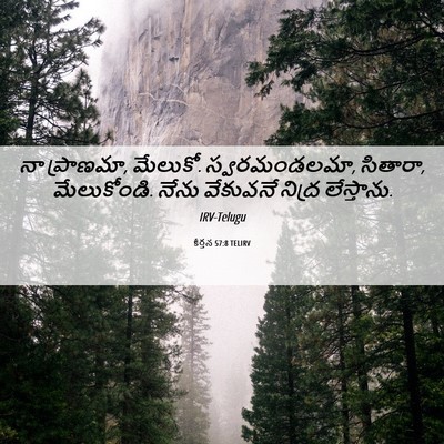 Picture 06 - కీర్తన 57:8 TELIRV - నా ప్రాణమా, మేలుకో. - Bible Verse Picture