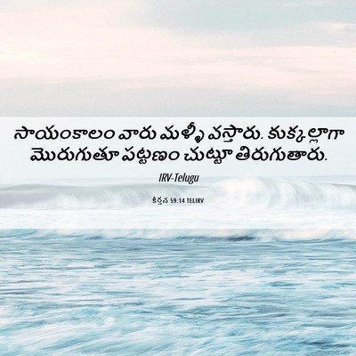 Picture 06 - కీర్తన 59:14 TELIRV - సాయంకాలం వారు - Bible Verse Picture