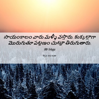 Picture 06 - కీర్తన 59:6 TELIRV - సాయంకాలం వారు - Bible Verse Picture