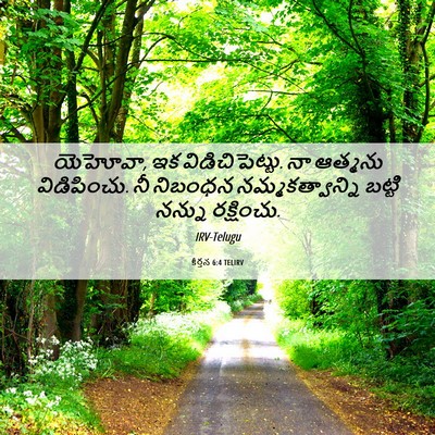 Picture 06 - కీర్తన 6:4 TELIRV - యెహోవా, ఇక - Bible Verse Picture