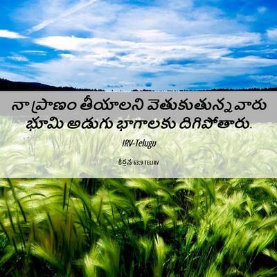 Picture 06 - కీర్తన 63:9 TELIRV - నా ప్రాణం తీయాలని - Bible Verse Picture