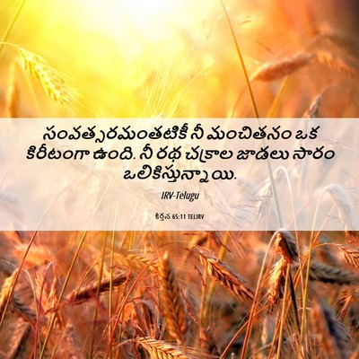 Picture 06 - కీర్తన 65:11 TELIRV - సంవత్సరమంతటికీ నీ - Bible Verse Picture