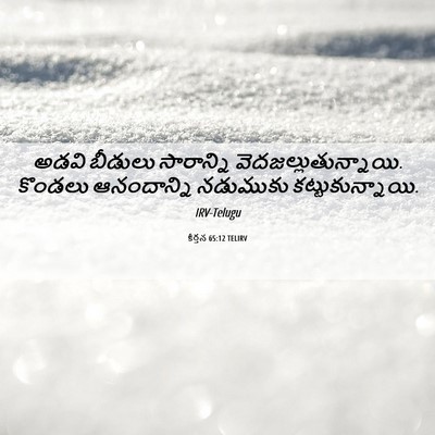 Picture 06 - కీర్తన 65:12 TELIRV - అడవి బీడులు - Bible Verse Picture