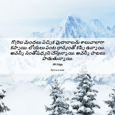 Picture 06 - కీర్తన 65:13 TELIRV - గొర్రెల మందలు - Bible Verse Picture