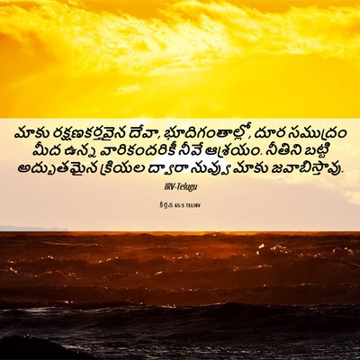 Picture 06 - కీర్తన 65:5 TELIRV - మాకు రక్షణకర్తవైన - Bible Verse Picture