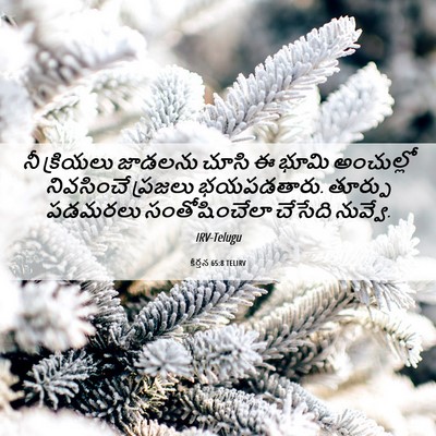 Picture 06 - కీర్తన 65:8 TELIRV - నీ క్రియలు జాడలను - Bible Verse Picture