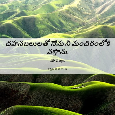 Picture 06 - కీర్తన 66:13 TELIRV - దహనబలులతో నేను నీ - Bible Verse Picture