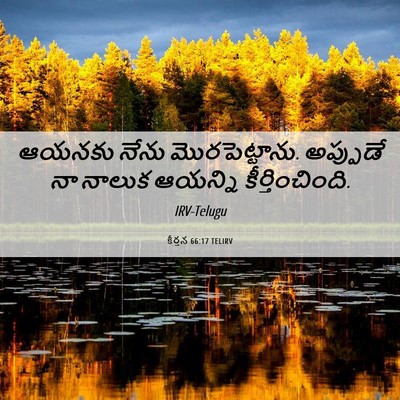 Picture 06 - కీర్తన 66:17 TELIRV - ఆయనకు నేను - Bible Verse Picture