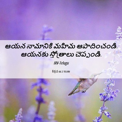 Picture 06 - కీర్తన 66:2 TELIRV - ఆయన నామానికి మహిమ - Bible Verse Picture