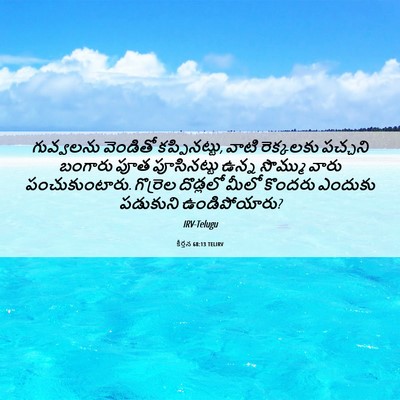 Picture 06 - కీర్తన 68:13 TELIRV - గువ్వలను వెండితో - Bible Verse Picture