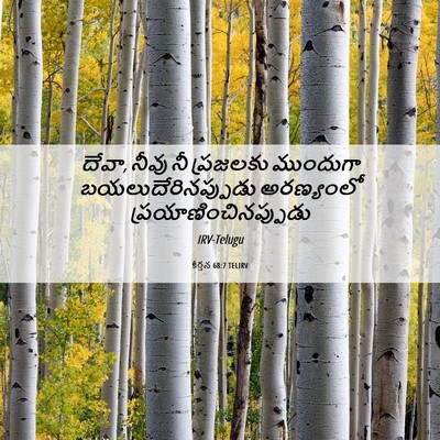 Picture 06 - కీర్తన 68:7 TELIRV - దేవా, నీవు నీ - Bible Verse Picture