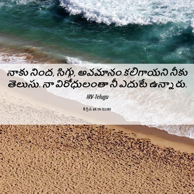 Picture 06 - కీర్తన 69:19 TELIRV - నాకు నింద, సిగ్గు, - Bible Verse Picture