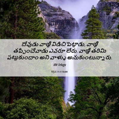 Picture 06 - కీర్తన 71:11 TELIRV - దేవుడు వాణ్ణి - Bible Verse Picture