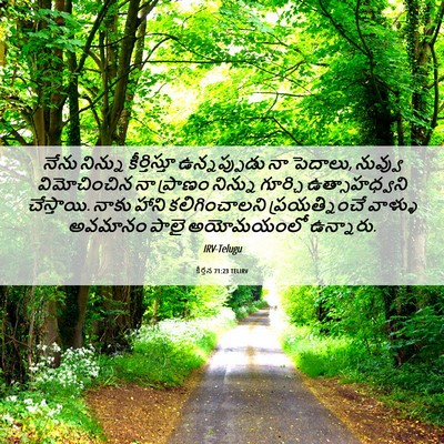 Picture 06 - కీర్తన 71:23 TELIRV - నేను నిన్ను - Bible Verse Picture