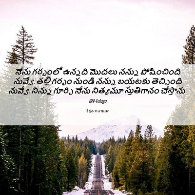 Picture 06 - కీర్తన 71:6 TELIRV - నేను గర్భంలో - Bible Verse Picture