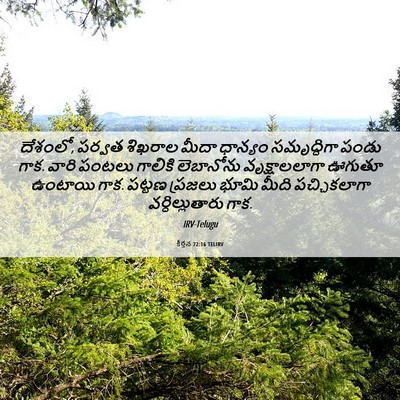 Picture 06 - కీర్తన 72:16 TELIRV - దేశంలో, పర్వత - Bible Verse Picture