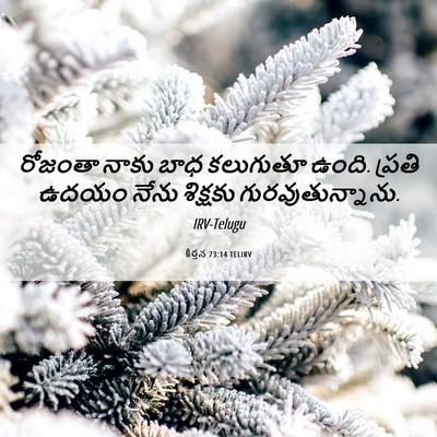 Picture 06 - కీర్తన 73:14 TELIRV - రోజంతా నాకు బాధ - Bible Verse Picture